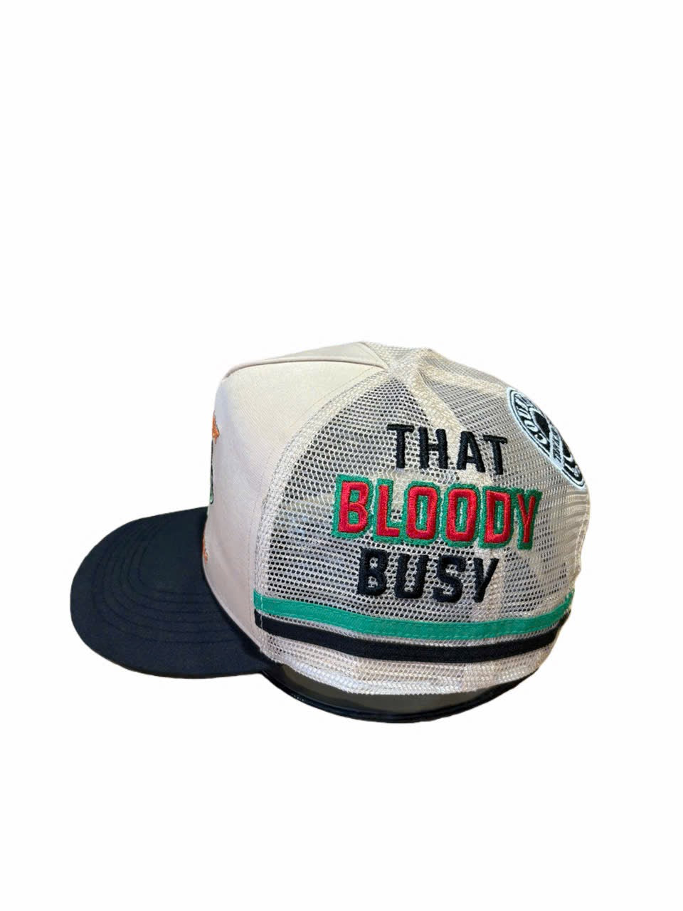 FLAT OUT LIKE A LIZARD DRINKING TRUCKER CAP