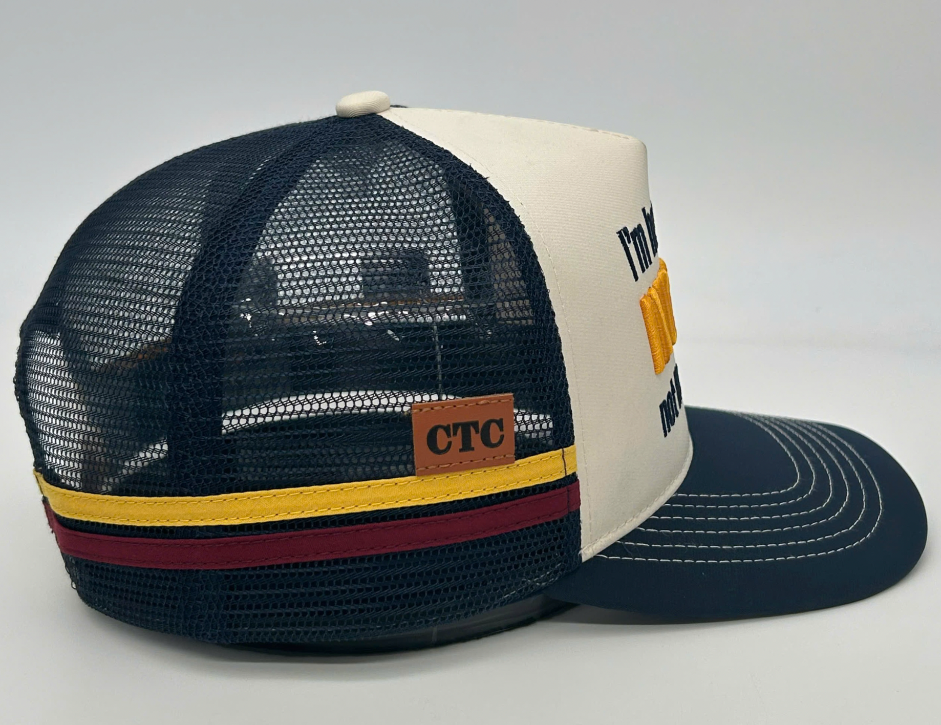 I'M HERE FOR THE INCOME NOT THE OUTCOME TRUCKER CAP